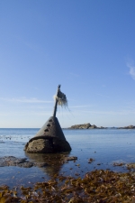 Lizard Point